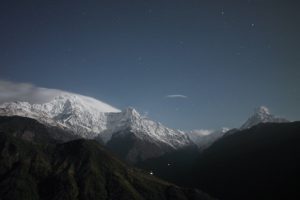 fondogen
